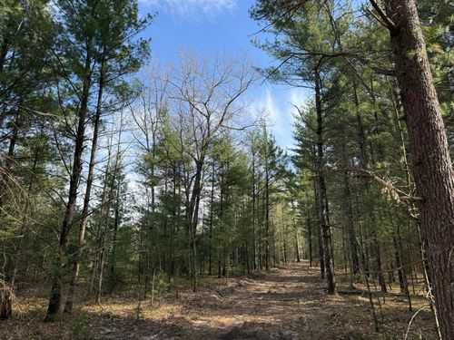 Parcel D Critter Trail, Manistee, MI, 49660 | Card Image