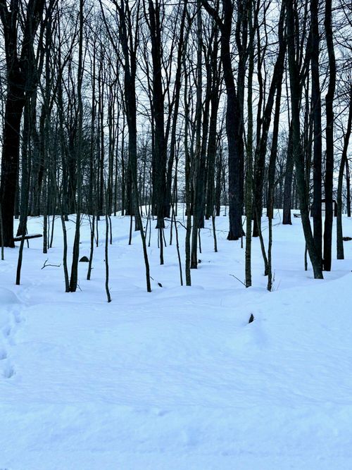 17 6 Shillings Rd, DU BOIS, PA, 15801 | Card Image