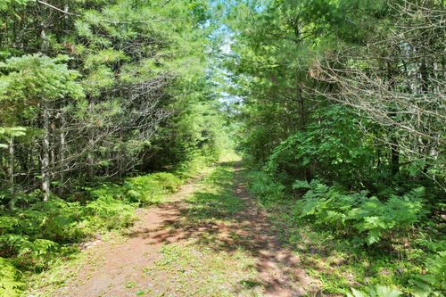 20 ac Spirit Wood Tr, Land O Lakes, WI, 54540 | Card Image