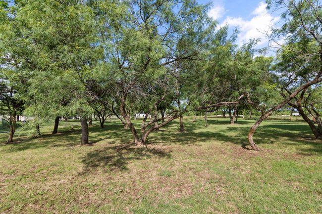 View of green lawn | Image 33