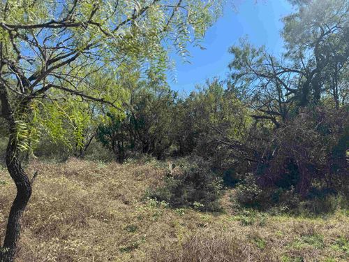 TBD Lot 149 Concho Trail, Kingsland, TX, 78639 | Card Image