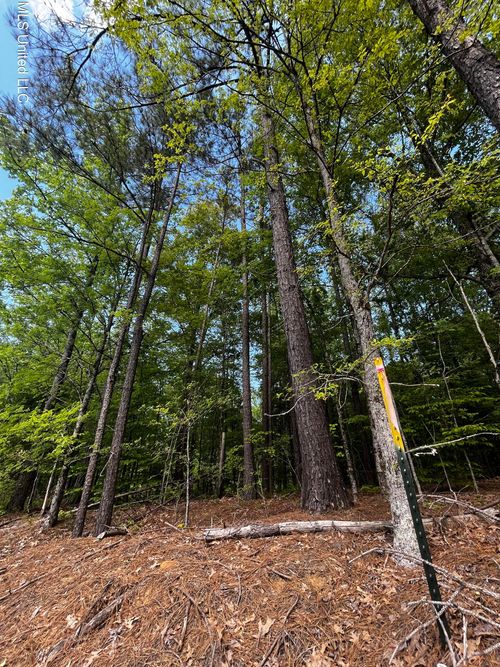 0 Bend Rd, Coldwater, MS, 38618 | Card Image