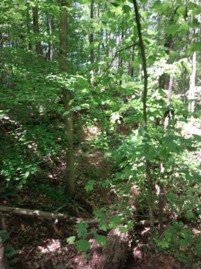 846 Latimer Mill Rd, Home with 0 bedrooms, 0 bathrooms and null parking in Honea Path SC | Image 18