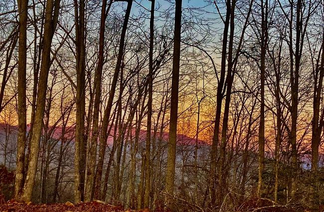 #114 Eagles Vw, Home with 0 bedrooms, 0 bathrooms and null parking in Hayesville NC | Image 17