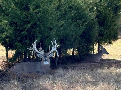 368145 980 Rd, Boley, OK, 74829-2503 | Card Image