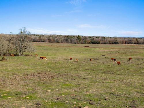 95 County Road 234, Milano, TX, 76556 | Card Image
