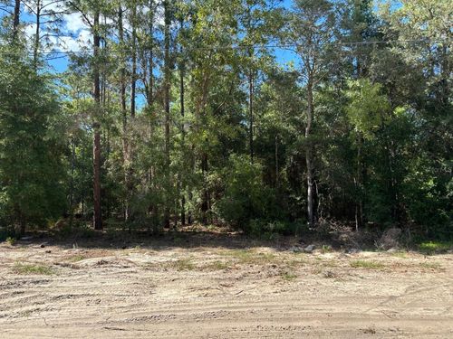0A Sw 93rd Place, Dunnellon, FL, 34432 | Card Image