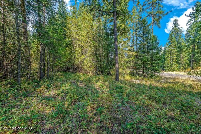 410 N Walden Loop, House other with 3 bedrooms, 4 bathrooms and null parking in Rathdrum ID | Image 40