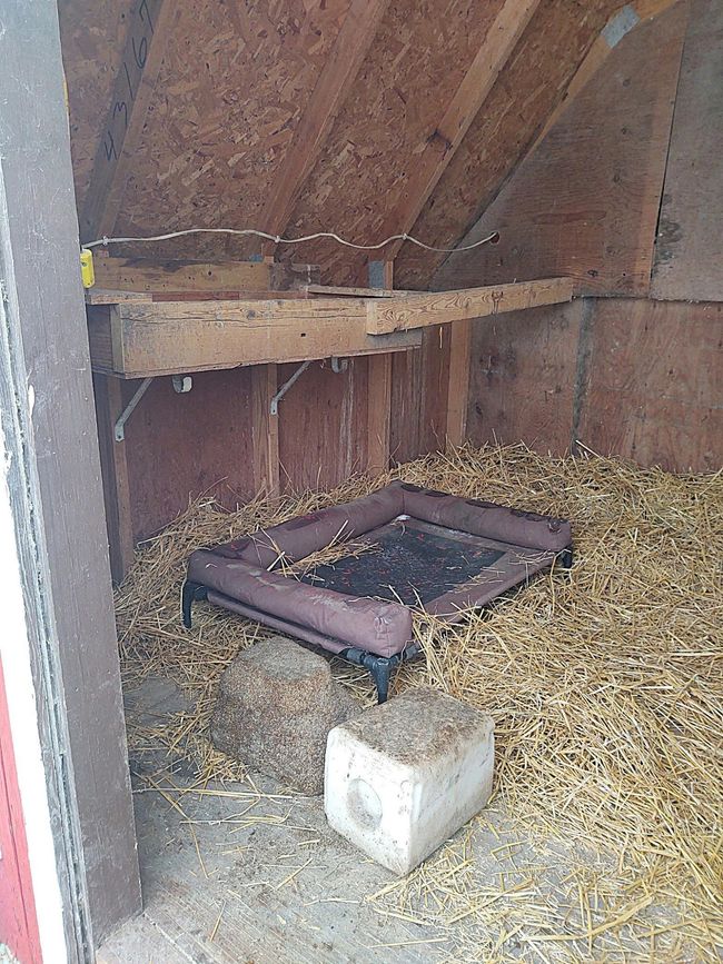 Chicken Coup | Image 84