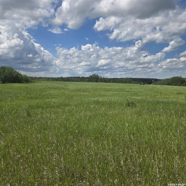 Land in Canwood Rm No. 494