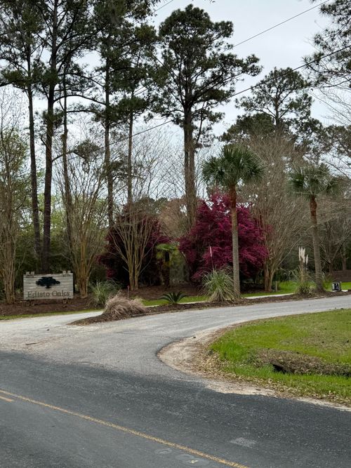 49 Seaside Lane, Edisto Island, SC, 29438 | Card Image