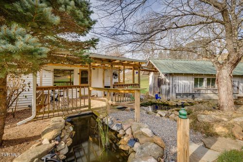 341 Locust Gap Rd, Mountain City, TN, 37683-6538 | Card Image