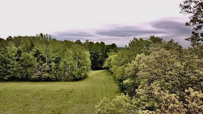 297 Appleton Rd, House other with 2 bedrooms, 1 bathrooms and 1 parking in Five Points TN | Image 42