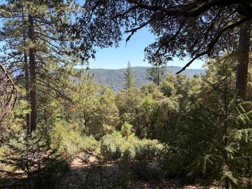24800 N Canyon Way, Colfax, CA, 95713 | Card Image