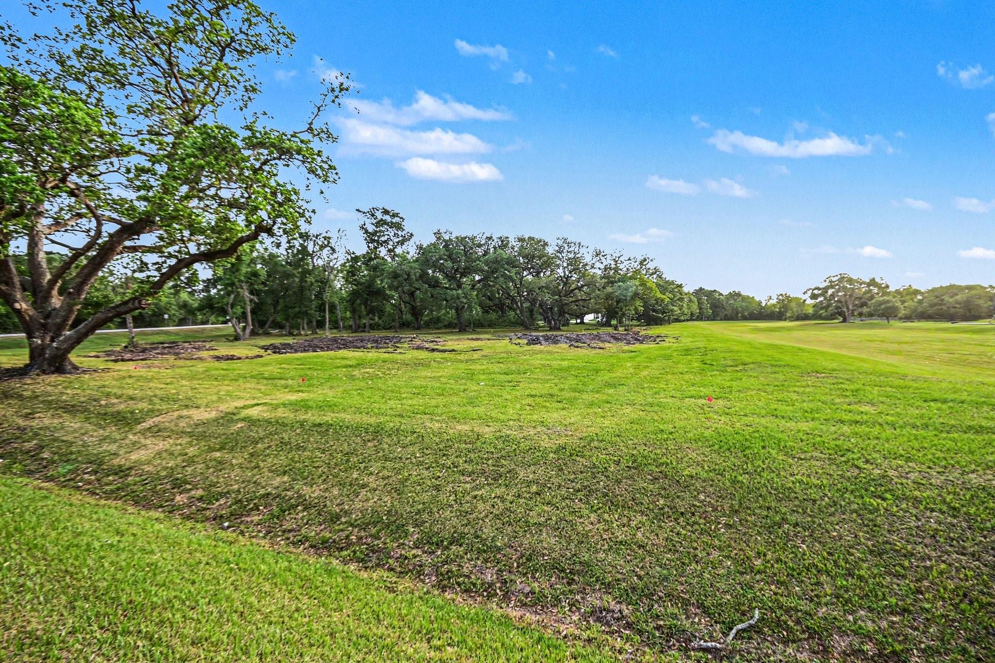 Land in Angleton 2