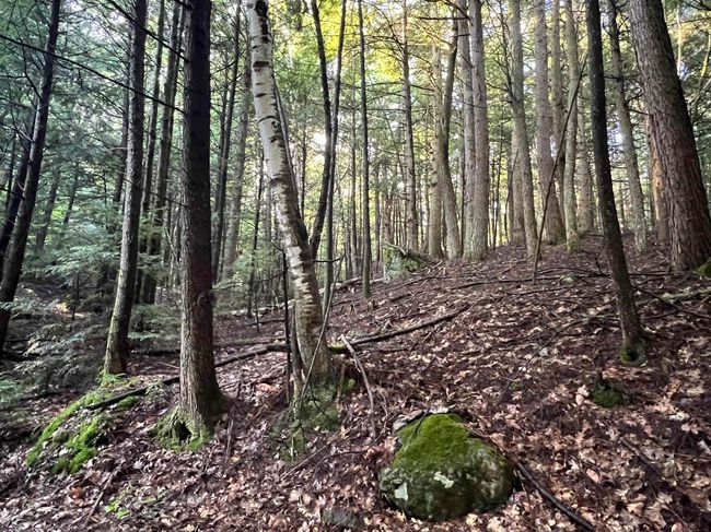 Map 6, Lot 38 Chadwick Hill Road, Home with 0 bedrooms, 0 bathrooms and null parking in Webster NH | Image 12