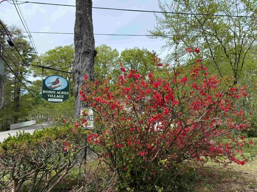 1 Robin Acres Dr, Wolfeboro, NH, 03894-4319 | Card Image