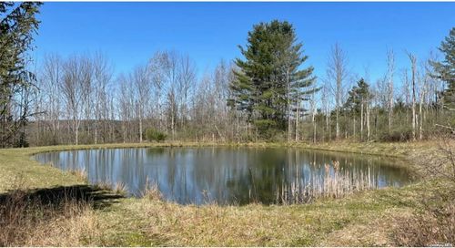 00 Nersesian Rd, Hartwick, NY, 13348 | Card Image