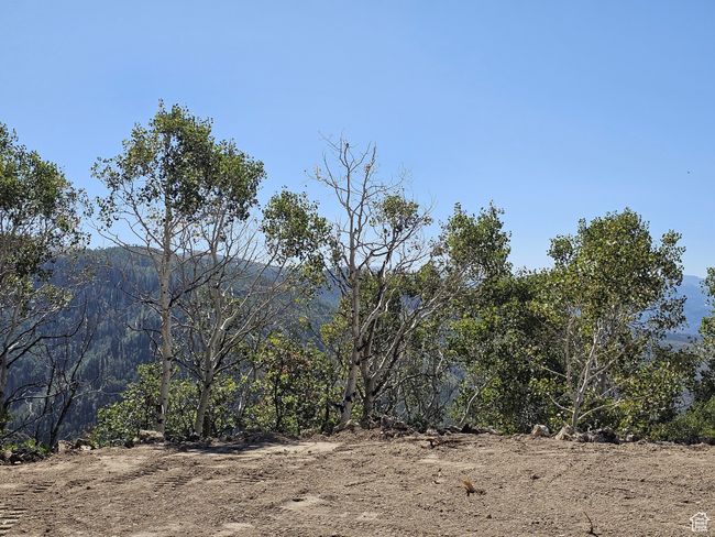 View of mountain feature | Image 6
