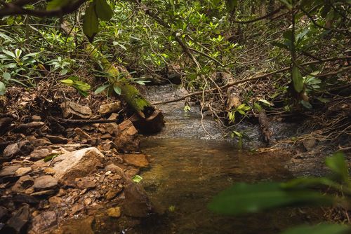 TBD Macks Mountain Rd, Indian Valley, VA, 24105 | Card Image