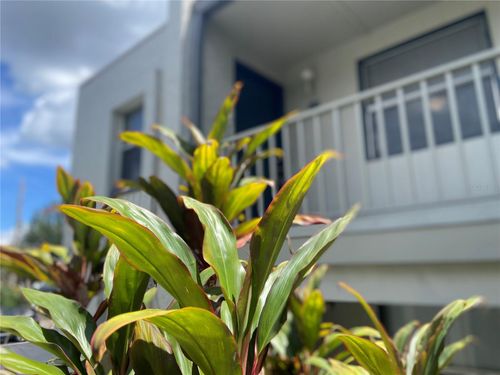 apt-3-5115 Curry Ford Rd, ORLANDO, FL, 32812-8751 | Card Image