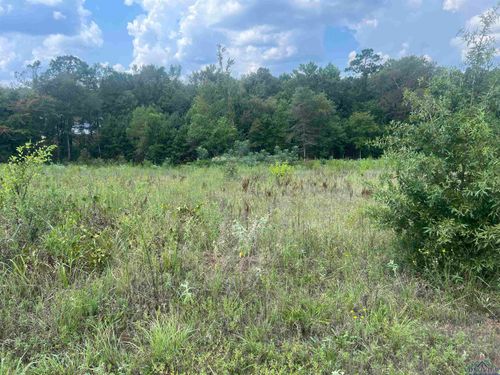 TBD Us Highway 59 S, Marshall, TX, 75672 | Card Image