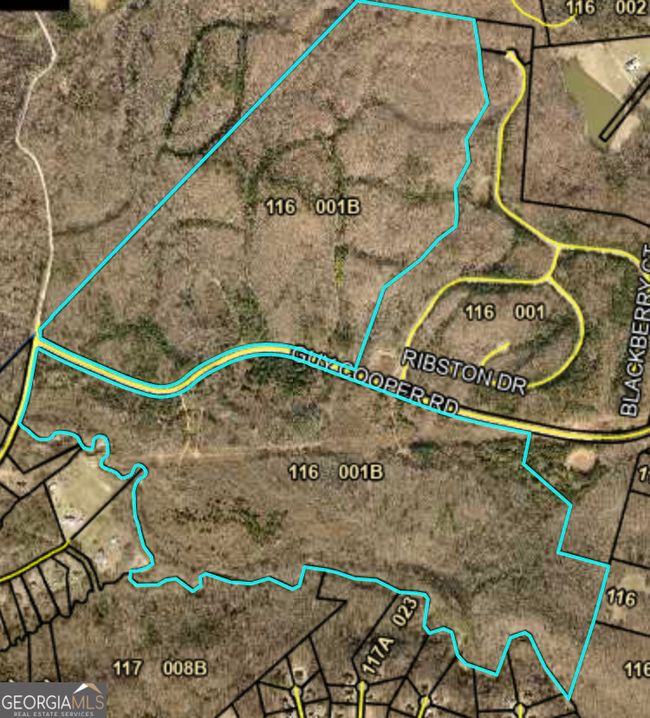 0 Guy Cooper Rd, Home with 0 bedrooms, 0 bathrooms and null parking in Pendergrass GA | Image 5