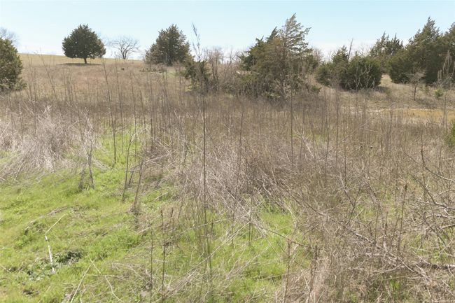 View of nature featuring a rural view | Image 14