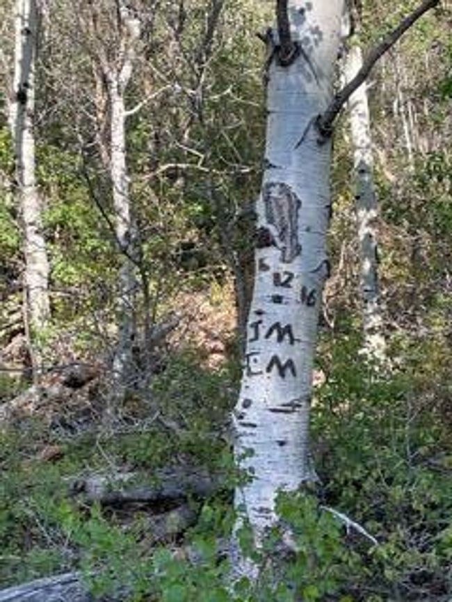 9 | Image 9
