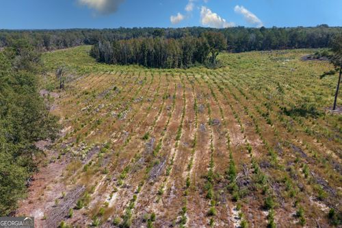 0 Double Pond Rd, Blackville, SC, 29817 | Card Image