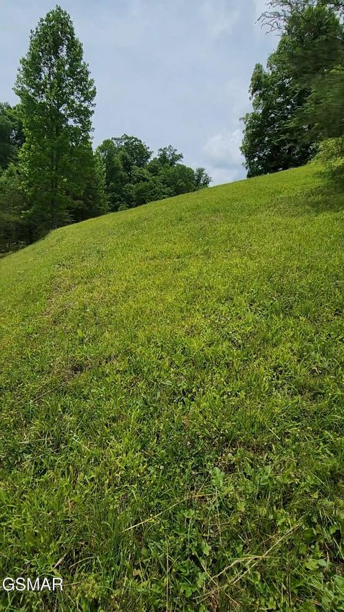 43 Wedge Tailed Ln, Sevierville, TN, 37876-1470 | Card Image