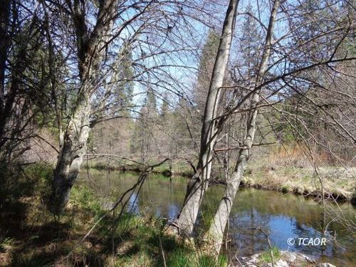 3250 Wildwood Rd, Wildwood, CA, 96076 | Card Image