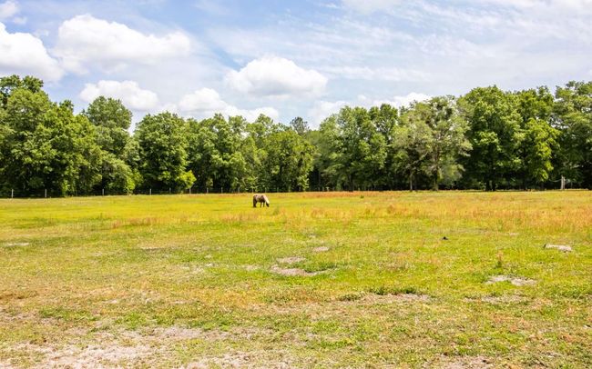 1309 Bessent Rd, House other with 5 bedrooms, 4 bathrooms and 3 parking in Starke FL | Image 49