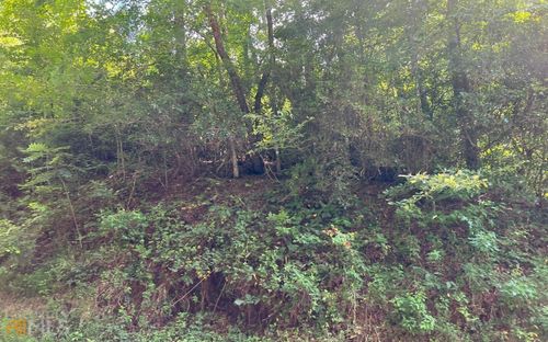 LOT 75 Fires Creek Cove, Hayesville, NC, 28904 | Card Image