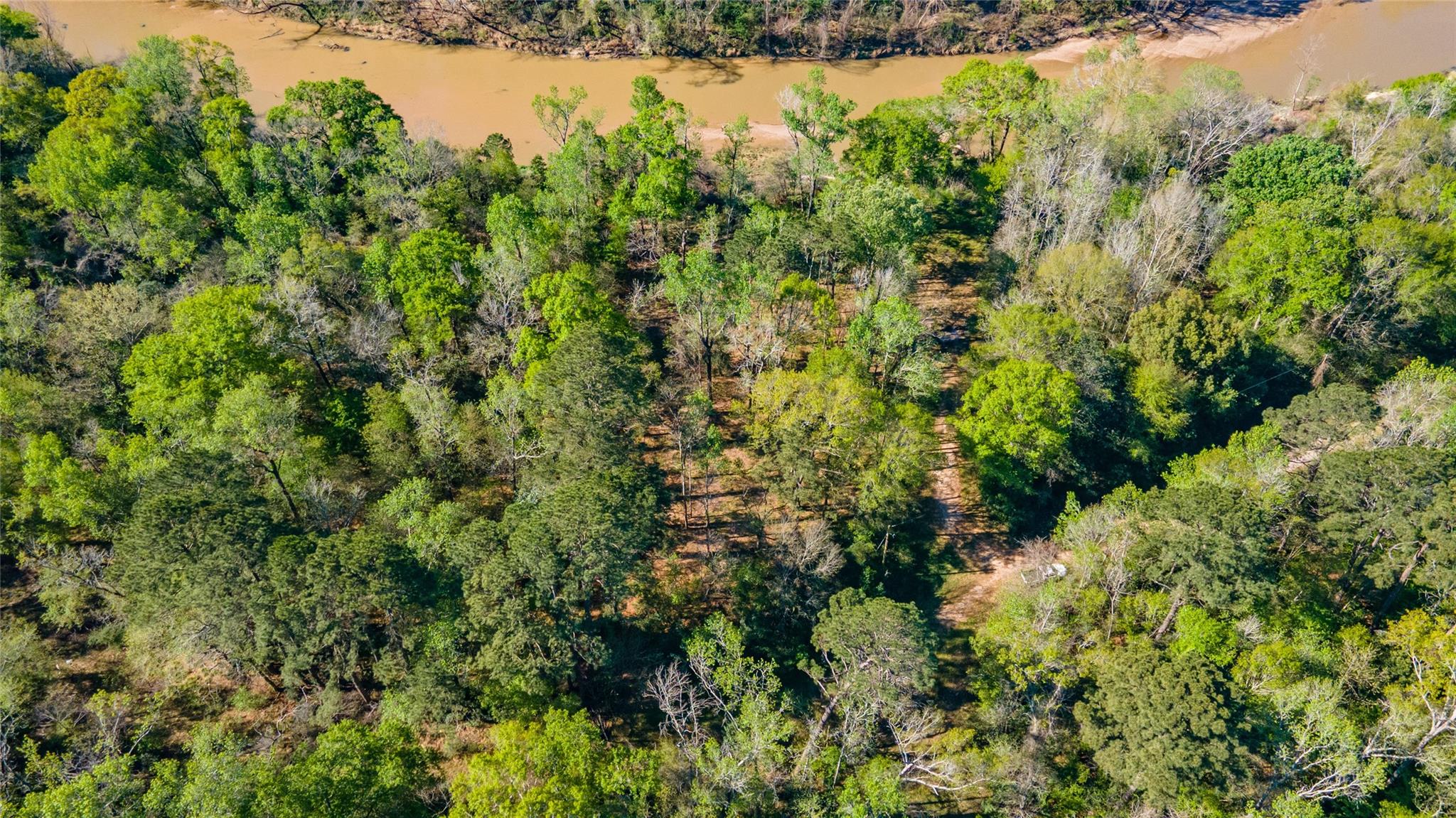 Land in Conroe 5