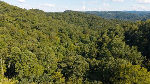 32.38 Ac Panther Creek Rd, Sneedville, TN, 37869-3233 | Card Image