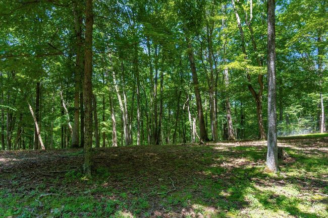 58501 Us Highway 50, Home with 0 bedrooms, 0 bathrooms and null parking in Mc Arthur OH | Image 65