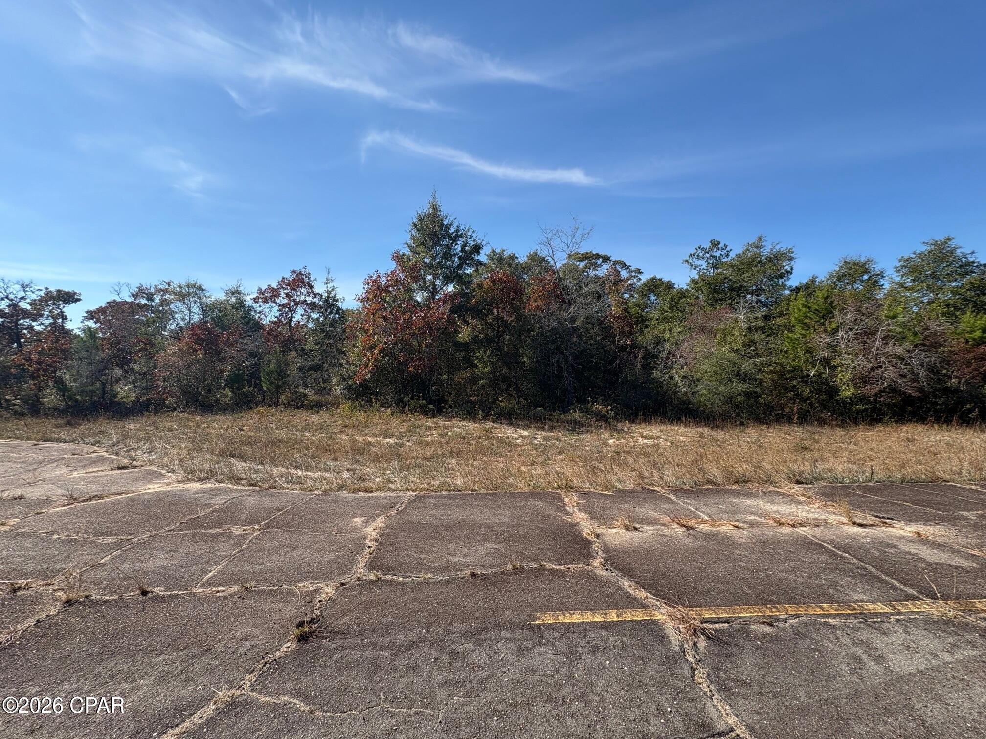 Land in Chipley 5