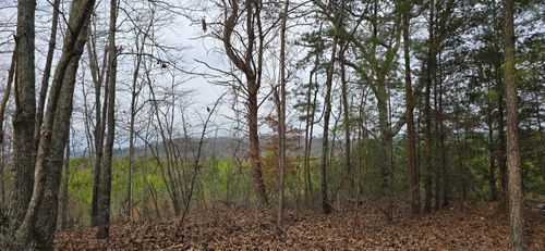 117 Scenic View Drive, Summerville, GA, 30747 | Card Image