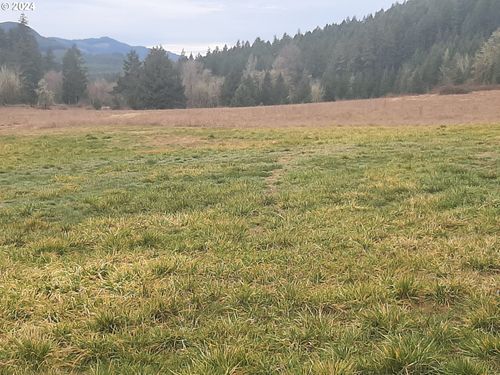 39933 Layng Creek Rd, Dorena, OR, 97434-9606 | Card Image