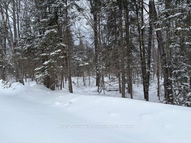 47 Summer Leigh Trail, Home with 0 bedrooms, 0 bathrooms and null parking in Utterson ON | Image 8