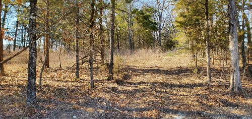 000 Lot 101 Summer Breeze Lane, Kimberling City, MO, 65686 | Card Image