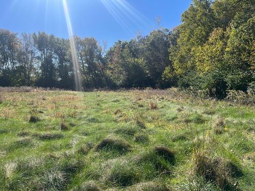 211 Norfolk Way, Essex, IL, 60935-6183 | Card Image