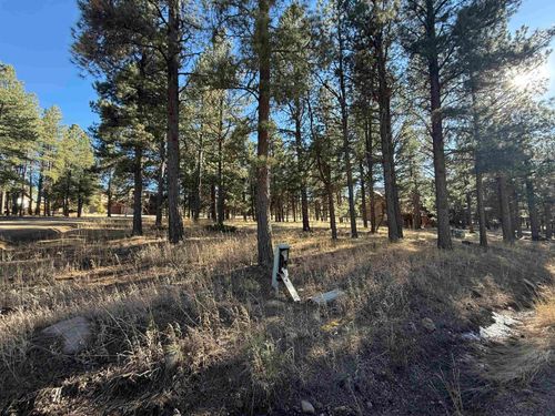 Lot 1113 Oakwood Ln, Angel Fire, NM, 87710 | Card Image