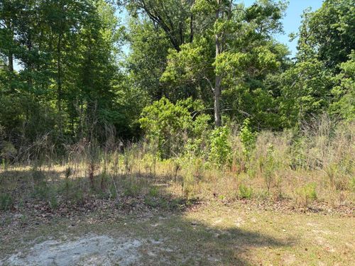 3660 Foxfire Lane, Orangeburg, SC, 29118 | Card Image