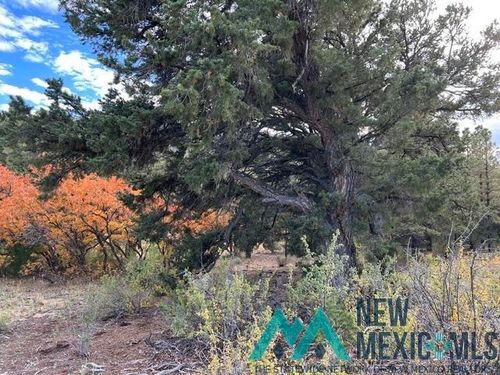 1 Forest Rd100 Rd, Youngsville, NM, 87064 | Card Image