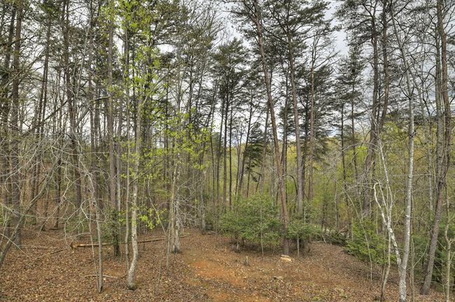 48 Logan Dr, Home with 3 bedrooms, 3 bathrooms and null parking in Mineral Bluff GA | Image 57