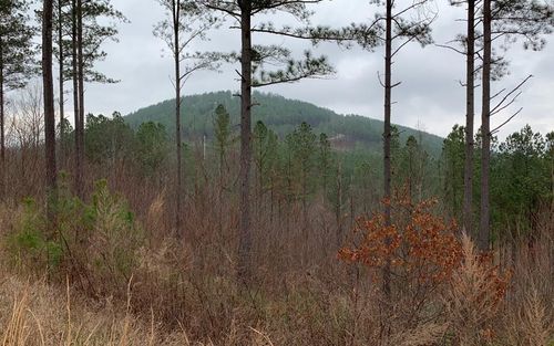 Lot 59 Ridge Peak Vw, Blairsville, GA, 30512 | Card Image