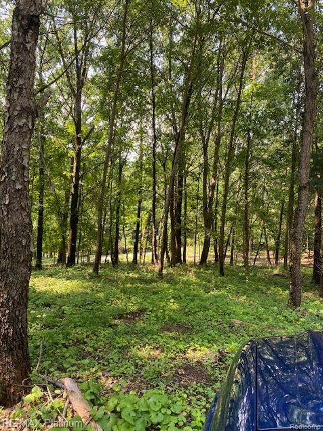 6 Sleaford Parcel 6   2.1 Acres Road, Home with 0 bedrooms, 0 bathrooms and null parking in Howell Township MI | Image 20
