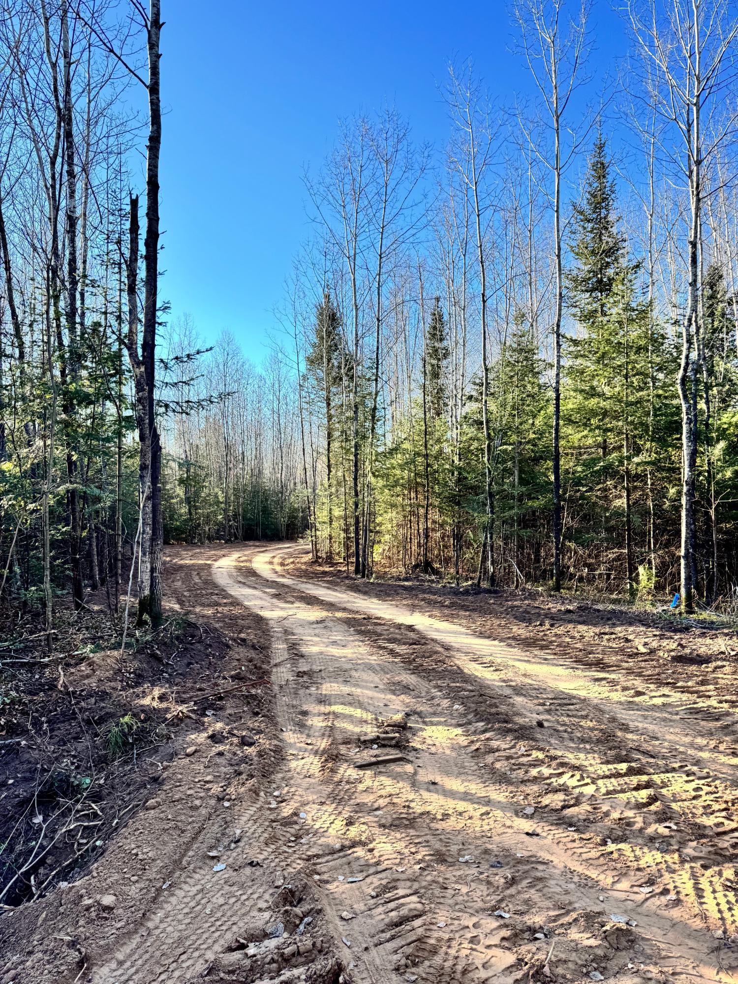 Land in Minocqua